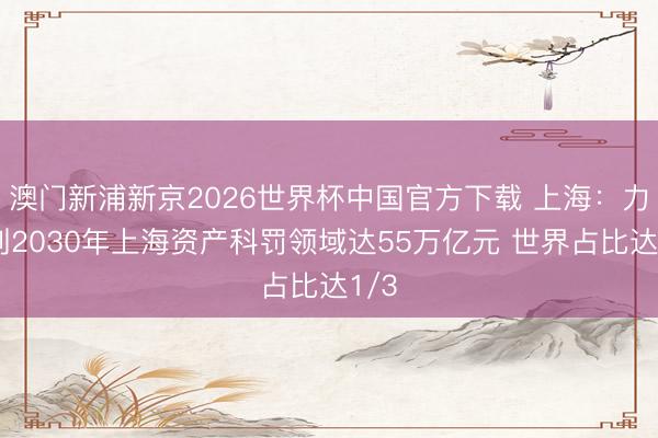 澳门新浦新京2026世界杯中国官方下载 上海：力求到2030年上海资产科罚领域达55万亿元 世界占比达1/3