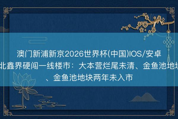 澳门新浦新京2026世界杯(中国)IOS/安卓官方下载 河北鑫界硬闯一线楼市：大本营烂尾未清、金鱼池地块两年未入市