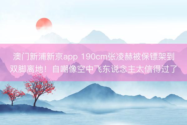 澳门新浦新京app 190cm张凌赫被保镖架到双脚离地!自嘲像空中飞东说念主太信得过了