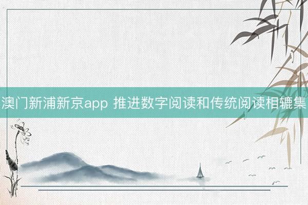 澳门新浦新京app 推进数字阅读和传统阅读相辘集