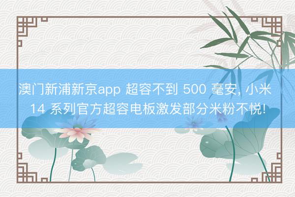 澳门新浦新京app 超容不到 500 毫安， 小米 14 系列官方超容电板激发部分米粉不悦!