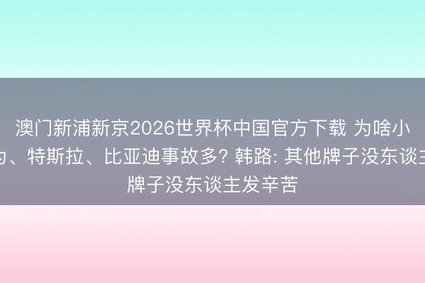 澳门新浦新京2026世界杯中国官方下载 为啥小米、华为、特斯拉、比亚迪事故多? 韩路: 其他牌子没东谈主发辛苦