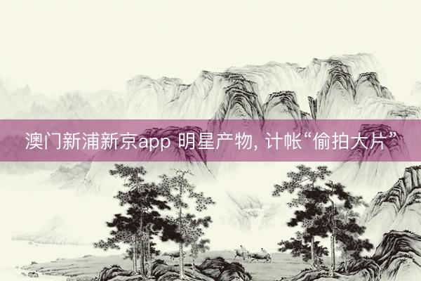 澳门新浦新京app 明星产物， 计帐“偷拍大片”