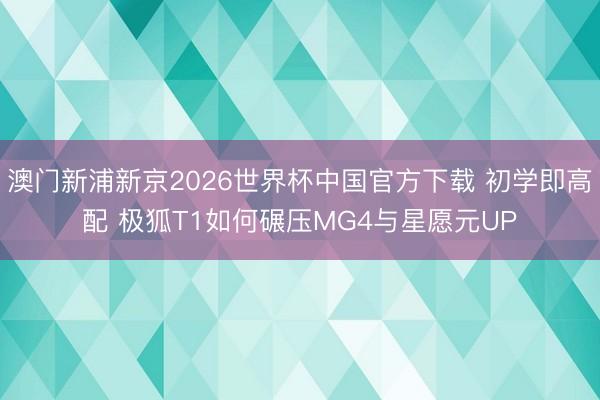 澳门新浦新京2026世界杯中国官方下载 初学即高配 极狐T1如何碾压MG4与星愿元UP
