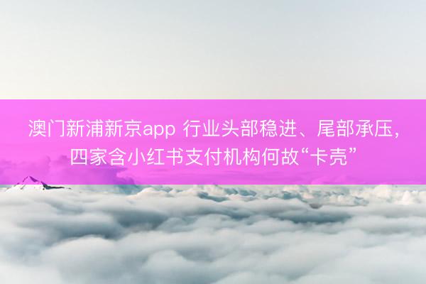 澳门新浦新京app 行业头部稳进、尾部承压,四家含小红书支付机构何故“卡壳”