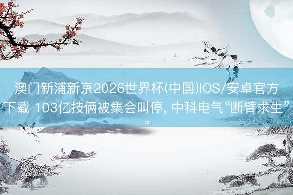 澳门新浦新京2026世界杯(中国)IOS/安卓官方下载 103亿技俩被集会叫停, 中科电气“断臂求生”