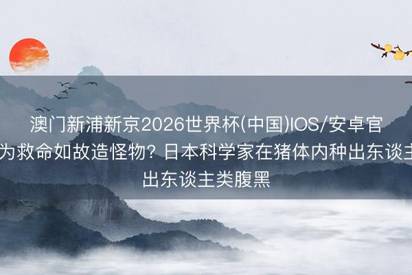 澳门新浦新京2026世界杯(中国)IOS/安卓官方下载 为救命如故造怪物? 日本科学家在猪体内种出东谈主类腹黑